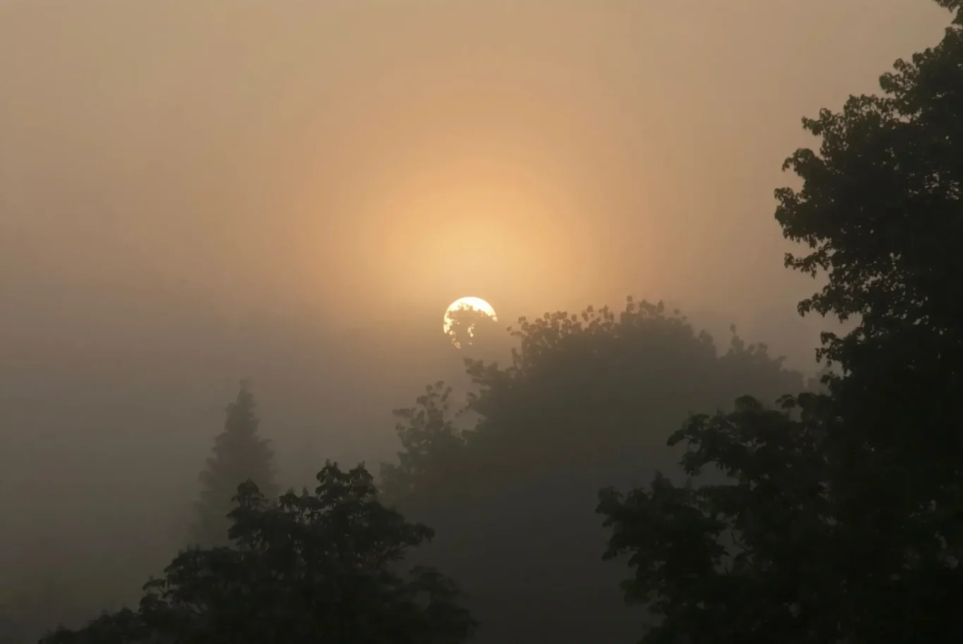 Selbsterkenntnis und Körper, Seele & Geist im Einklang. Klarheit & ganzheitliche Heilung, wie die Sonne, die durch den Morgendunst strahlt