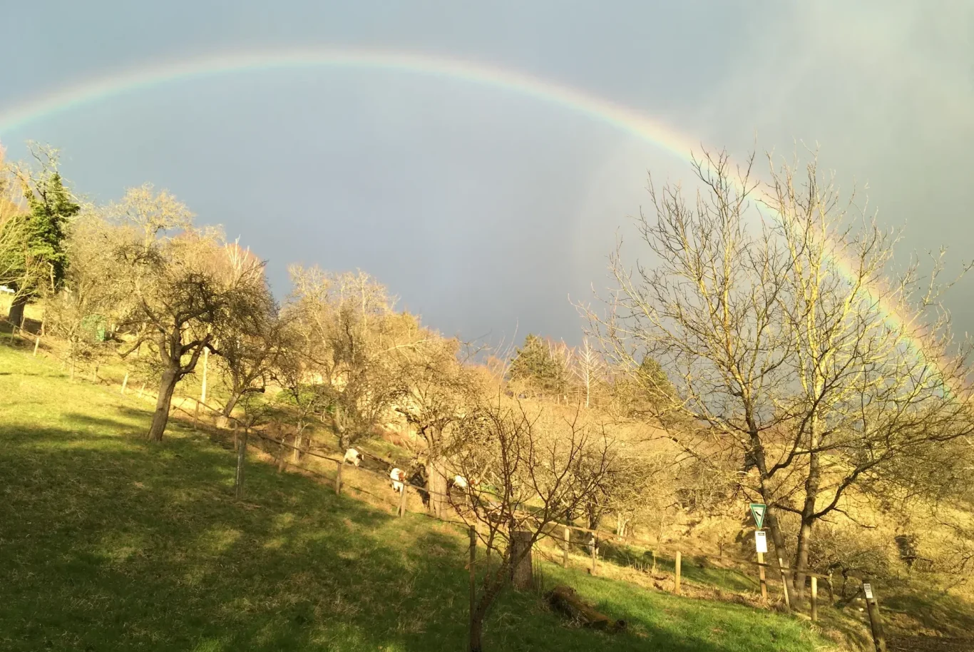 Building a bridge to holistic self-healing like a rainbow A Matter of heart: Raising awareness of expanded healing potential, BodyEnergyJourney According to Dr. Katja Eissfeldt © like rainbow bridge