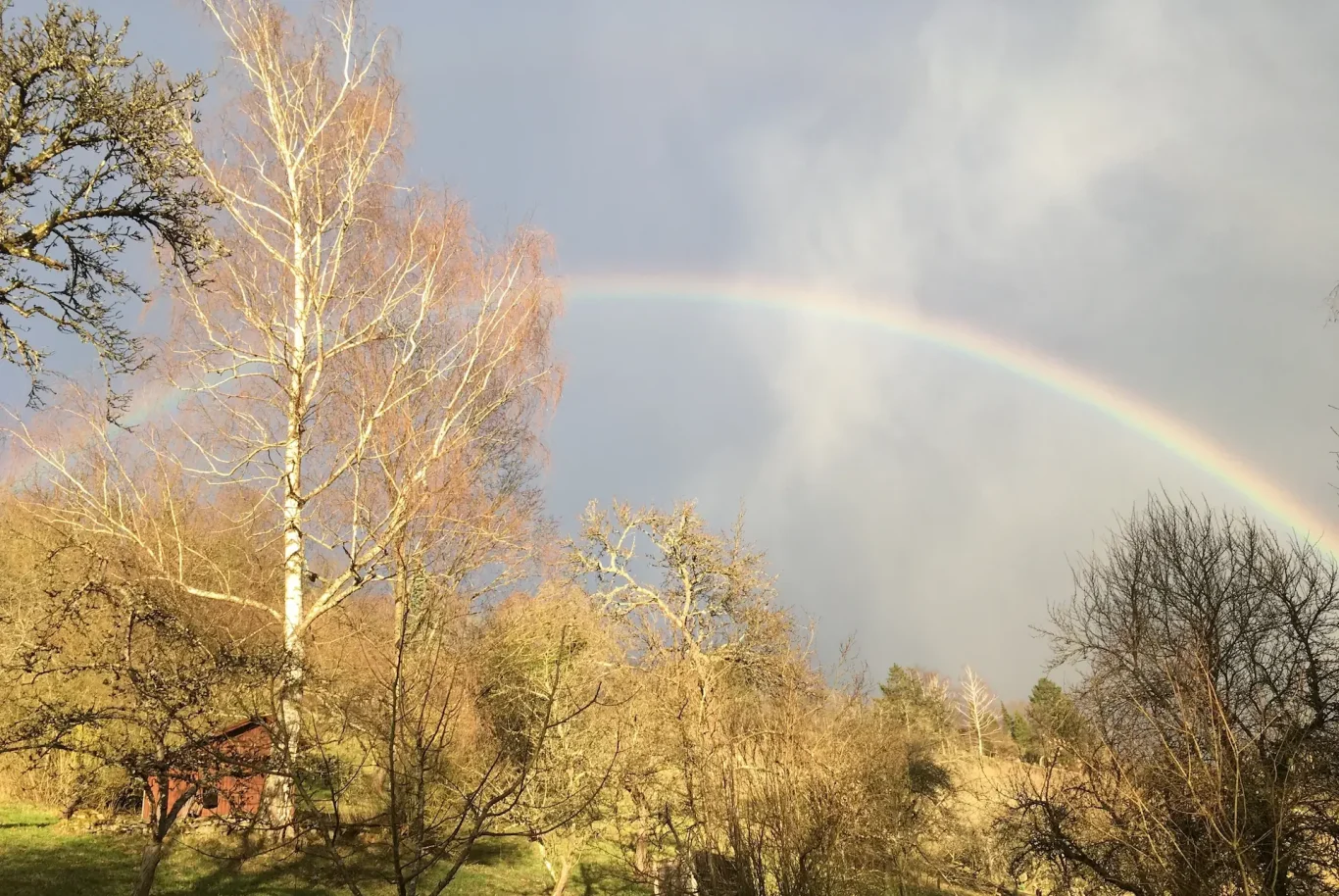 Herzensanliegen: Sensibilisierung für erweitertes Heilungspotenzial, KörperEnergieReise nach Dr. Katja Eissfeldt ®, Regenbogenbrücke spannen